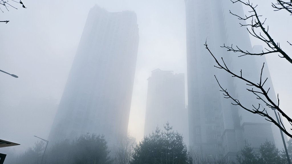 강쏘쏘 tweet media