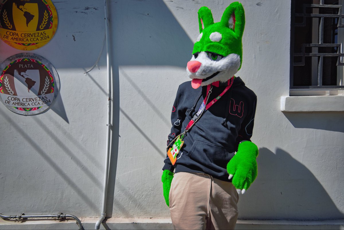 Marmanvii 💚 tweet media