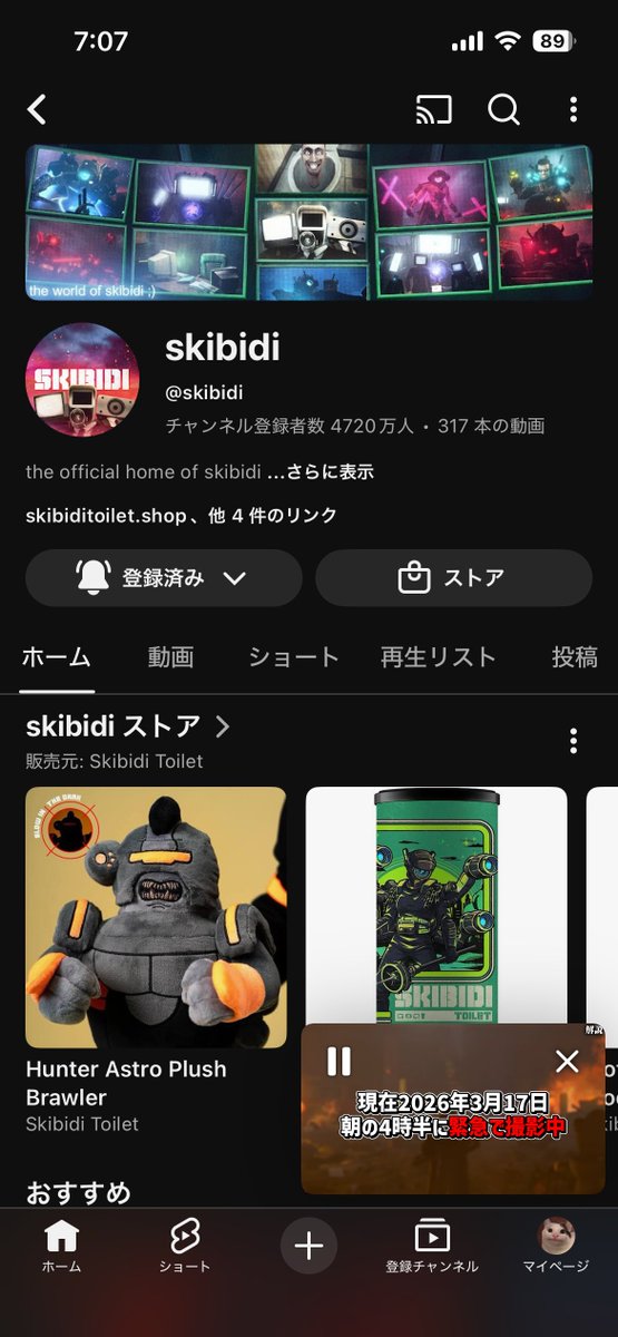 ブーガ猫(cat) tweet media