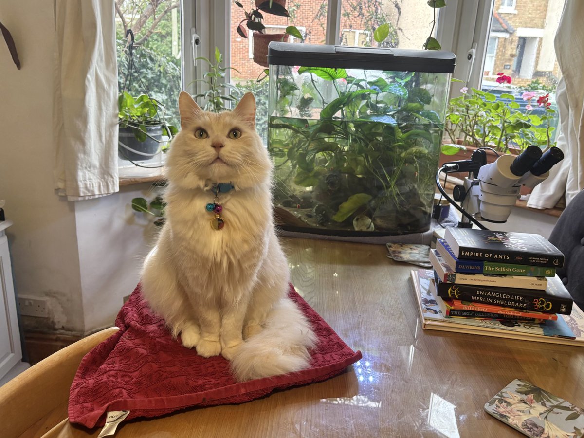 Dr Juliet Turner tweet media