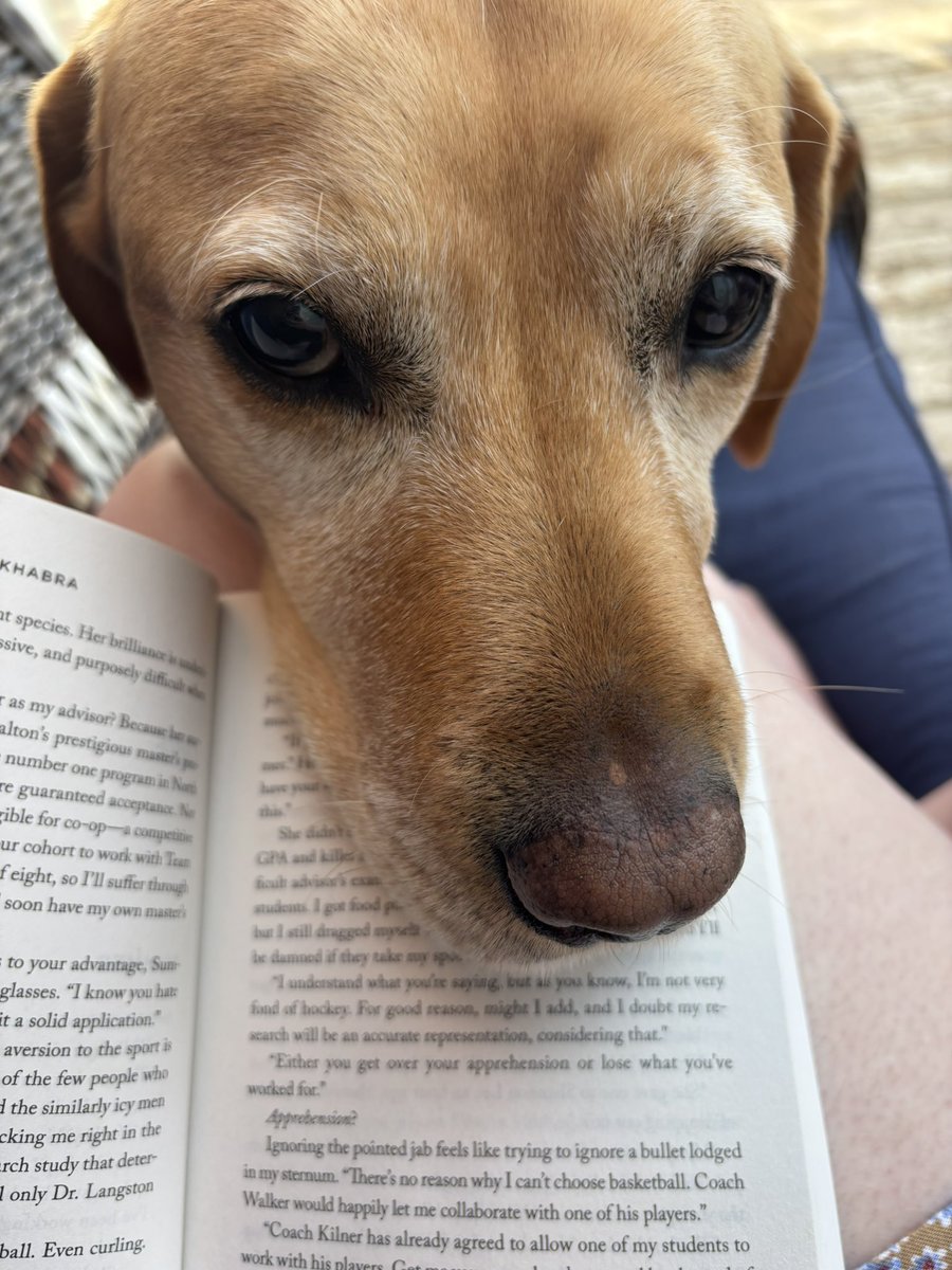 Willow ❤️‍🔥 ⸆⸉ tweet media