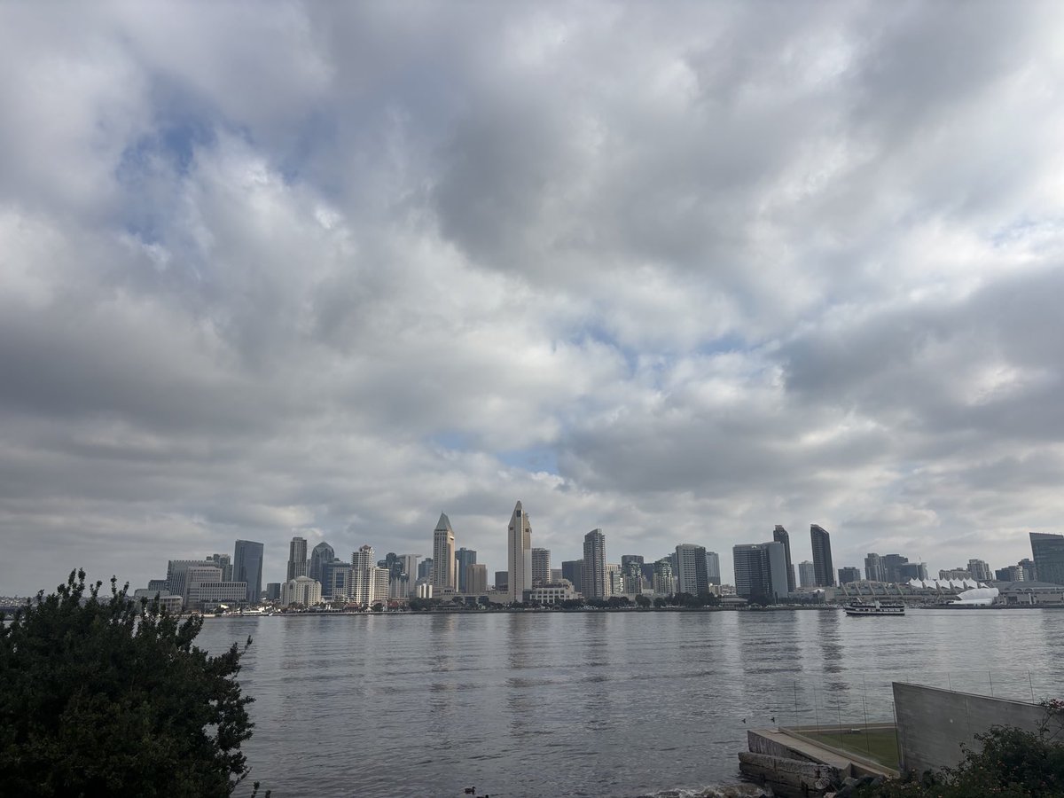 Luis Peraza tweet media