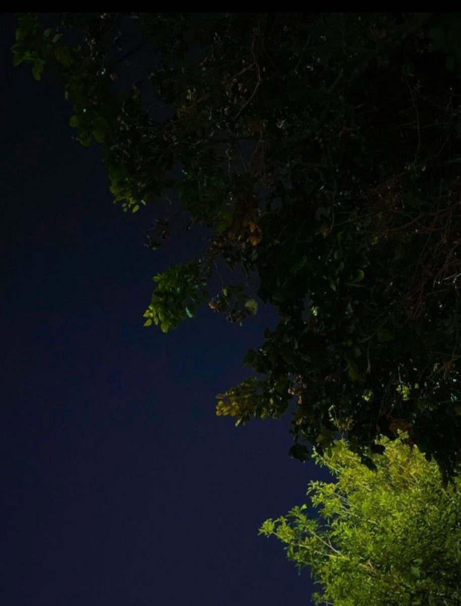 عطــــــرالـروح tweet media