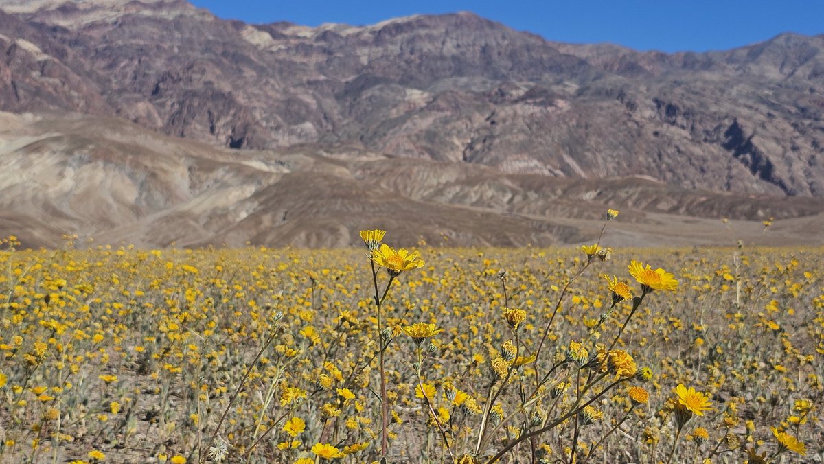 Mitchell Byars tweet media