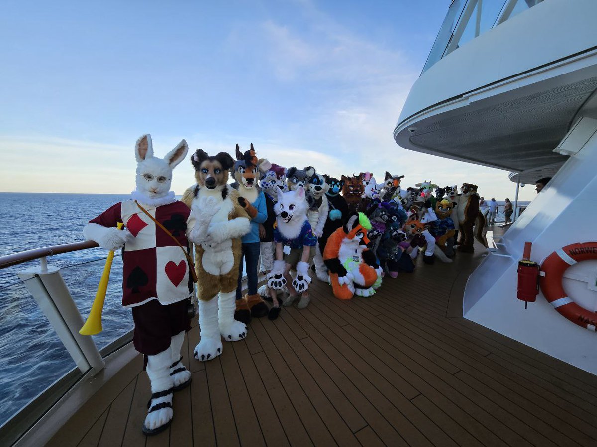 Furry Cruise tweet media