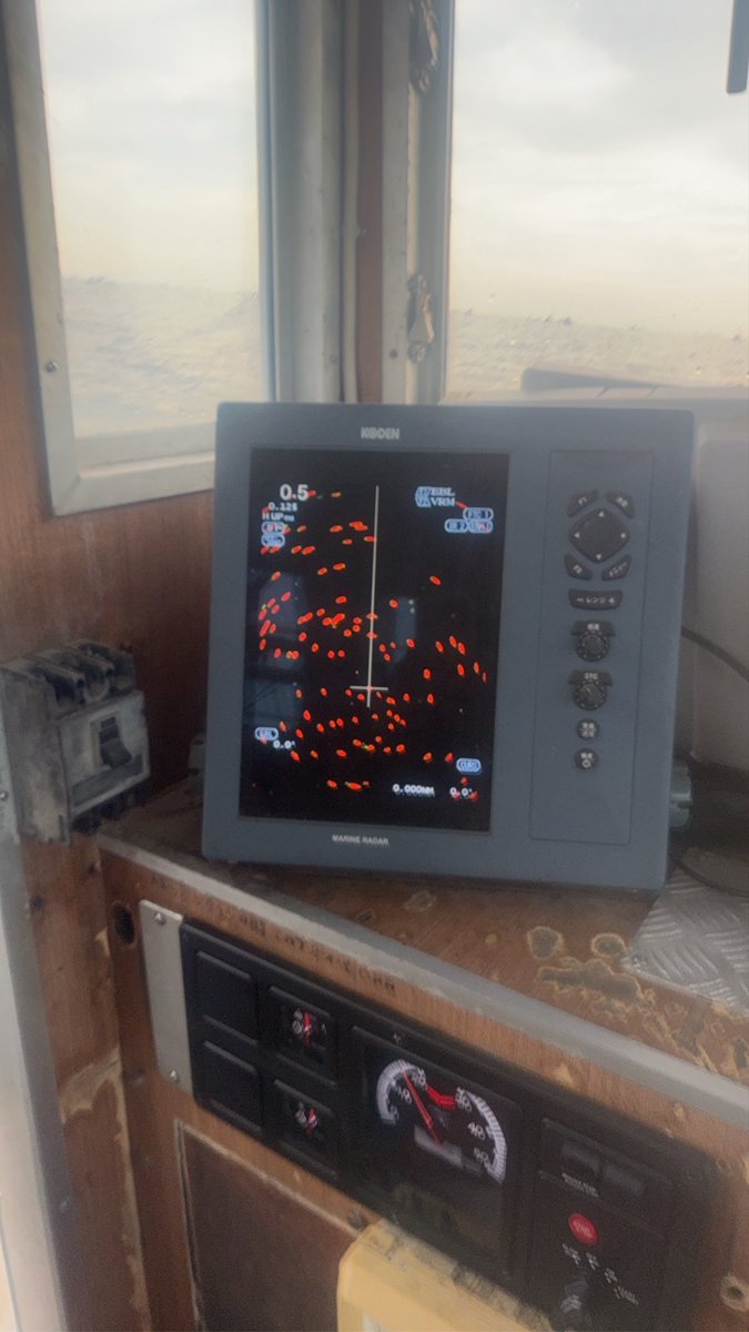 漁師ﾆｷ(れおん) tweet media