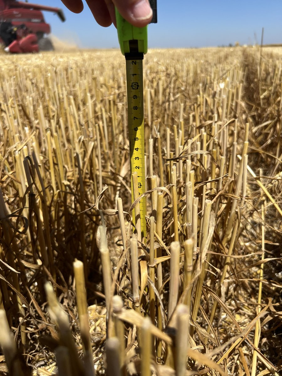 Lic.Ricardo Martínez Peck tweet media