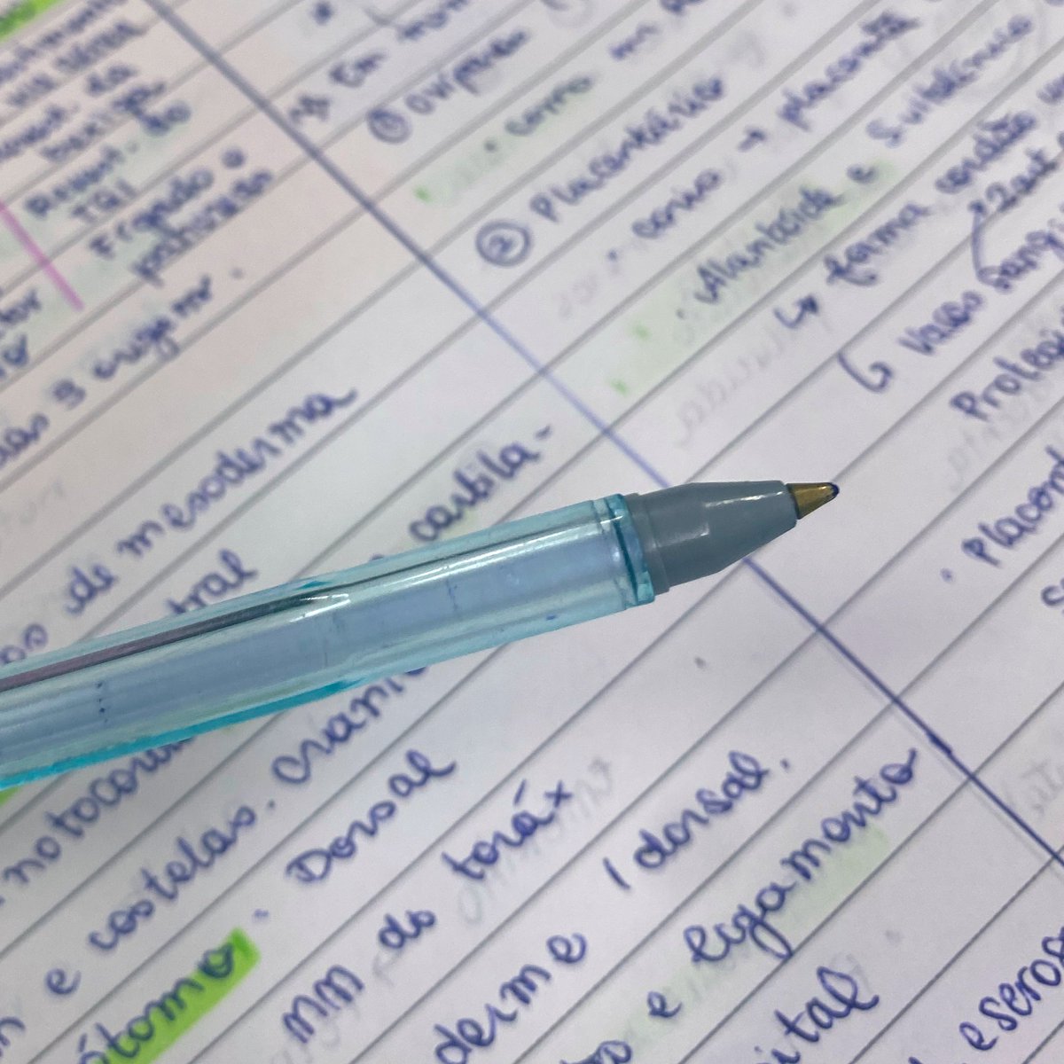 Studynha✨🩺 tweet media