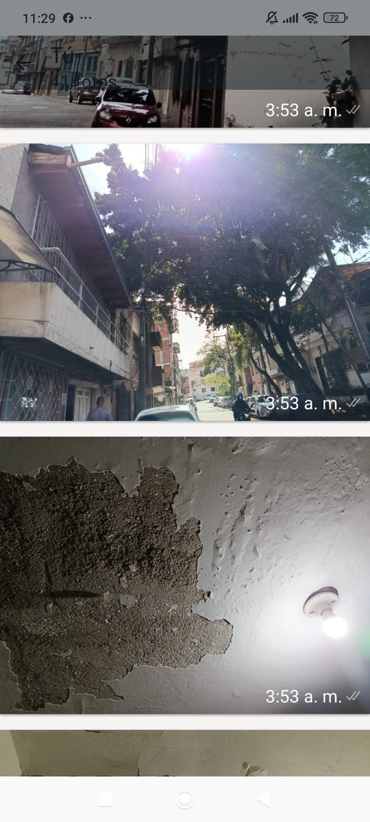 Diana Monsalve tweet media