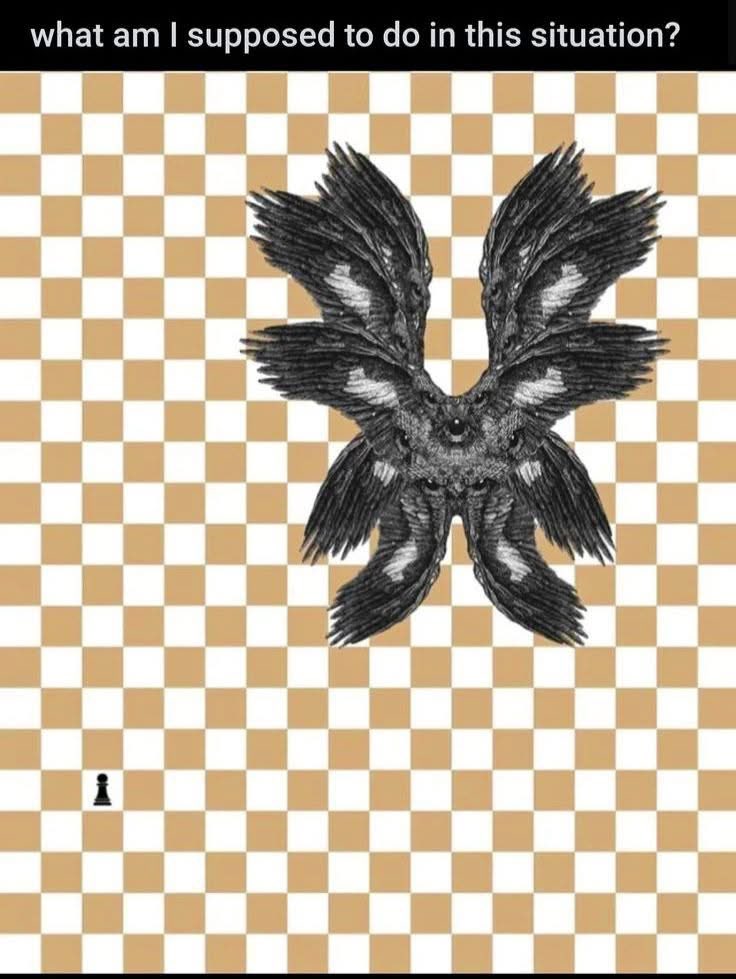 occultbot tweet media