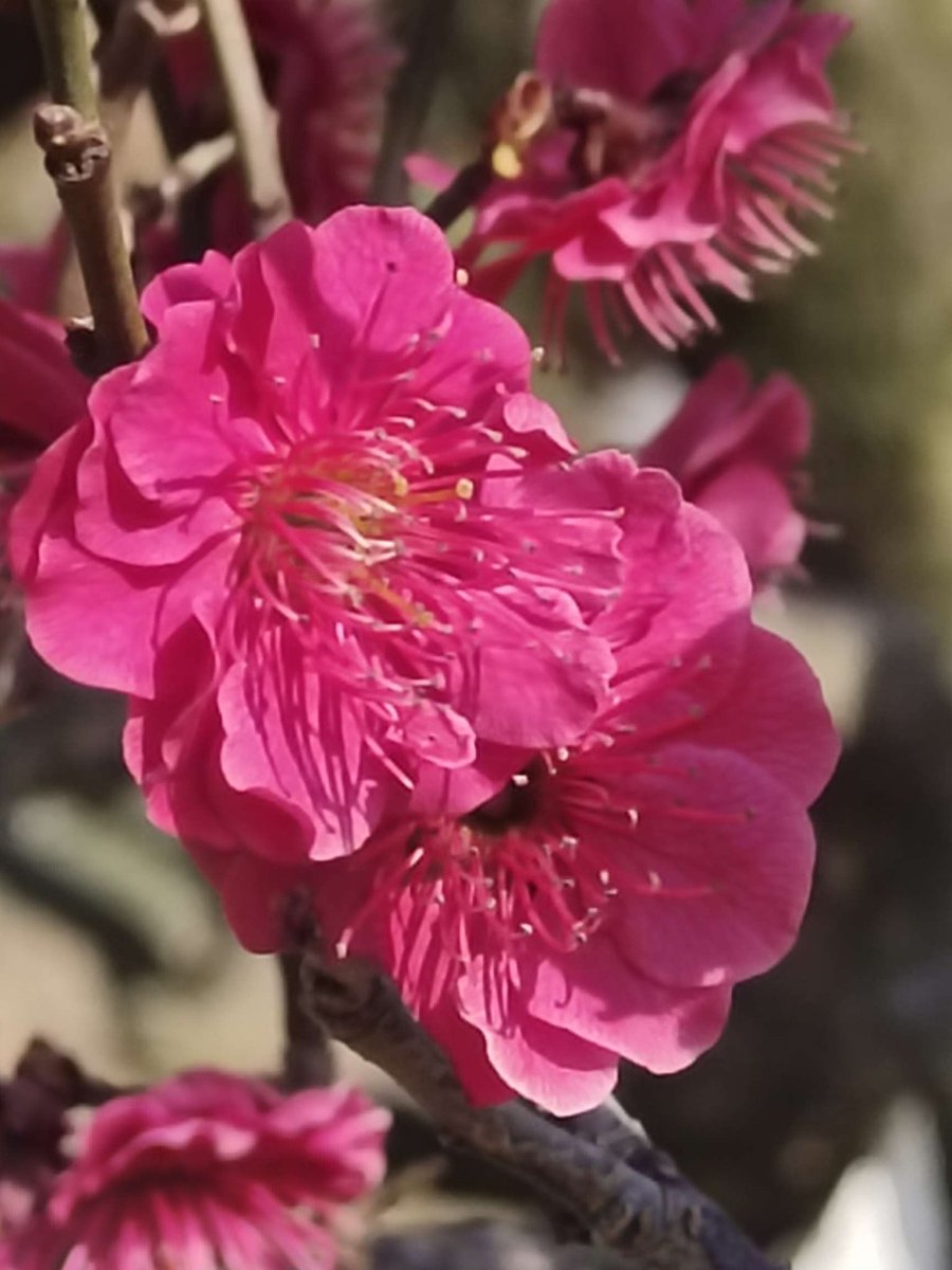 青岛女s秀姐s tweet media