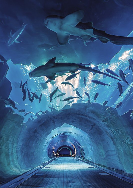 永井 彩音 tweet media