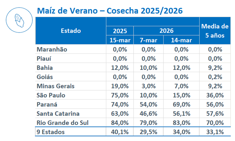 GranarSA's tweet photo. 🇧🇷🌽La @Conab_Oficial relevó el avance de la siembra de maíz safrinha en Brasil sobre el 85,5% del área prevista, frente al 75,9% de la semana pasada; al 89,6% de igual momento de 2025, y al 82,9% promedio de los anteriores 5 años. En cuanto al maíz de verano, reportó el progreso de la cosecha sobre el 34% del área apta, contra el 29,5% de la semana pasada; el 40,1% de igual momento del año anterior, y el 33,1% promedio de los anteriores 5 años.