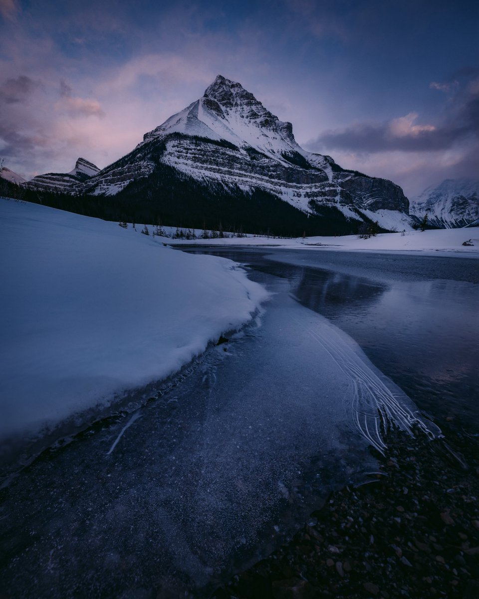 Jenna Dixon tweet media