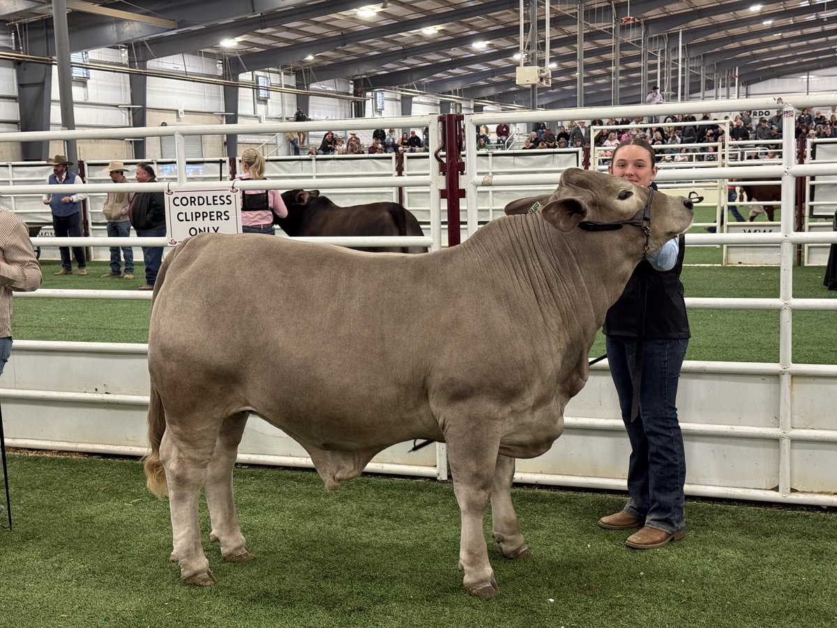 Texas First Rentals tweet media