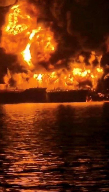 🌐 Short Reports 🌐 tweet media