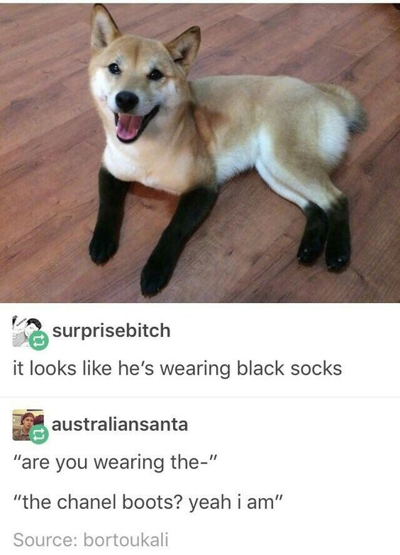 WholesomeMemes tweet media