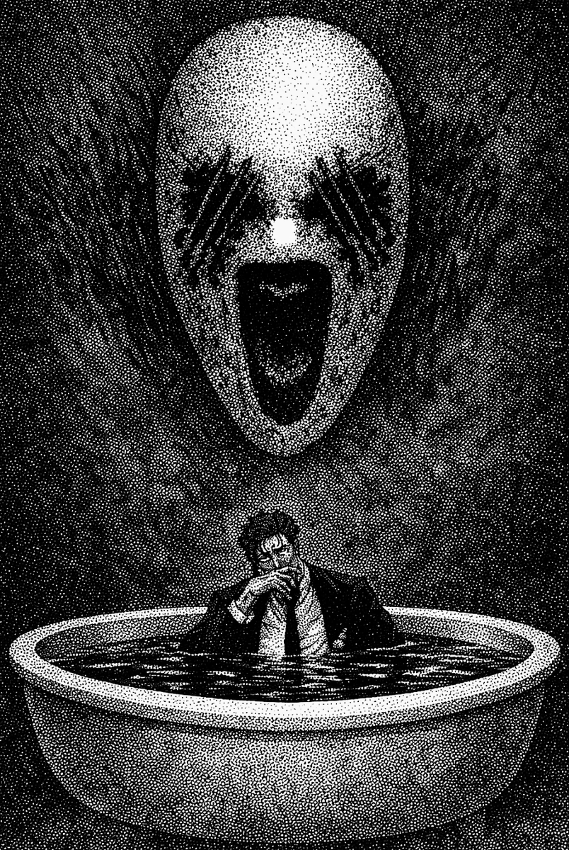 nocturnal tweet media