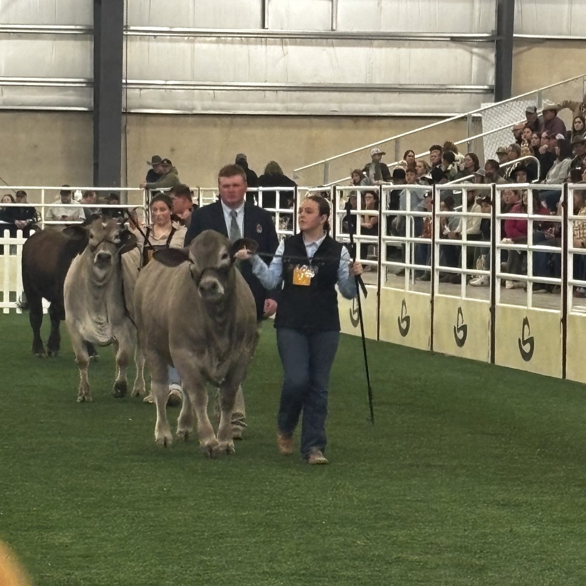 Texas First Rentals tweet media