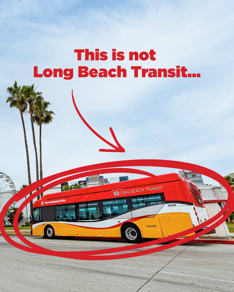 Long Beach Transit tweet media