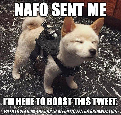 Графиня Фелла tweet media