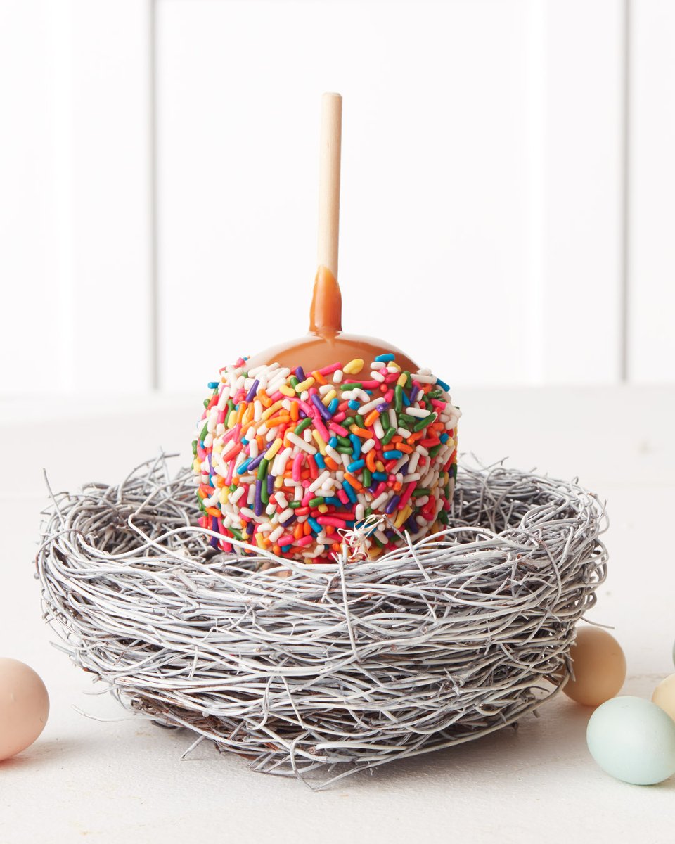 Affy Tapple tweet media