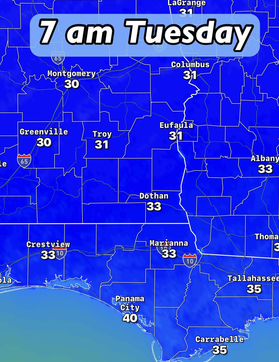 David Paul tweet media