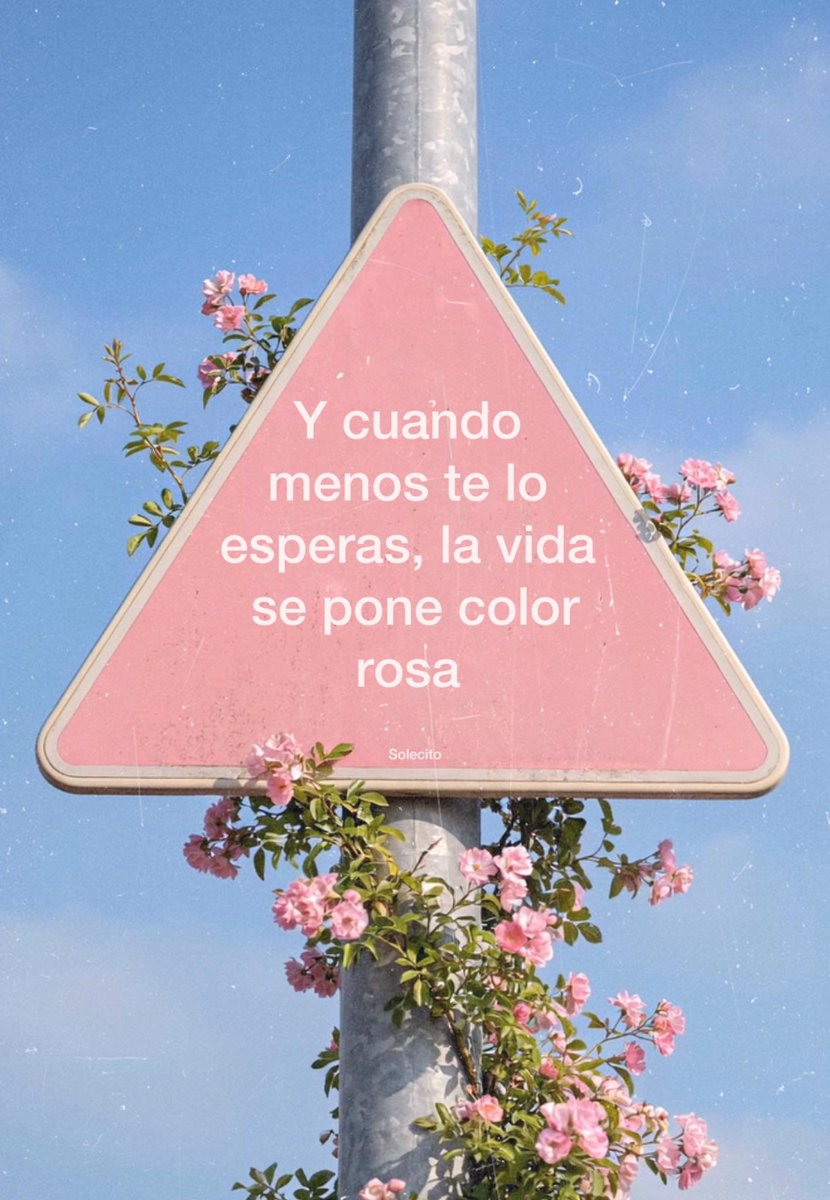 BANDIDOS (@bandidosfrasess) on Twitter photo 