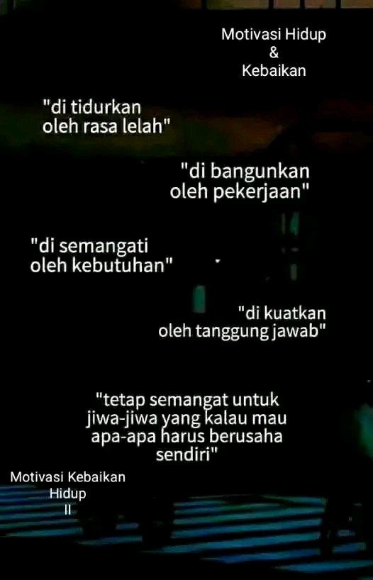 ꧁༒༺ ѕнιℓℓα ༻༒꧂ tweet media