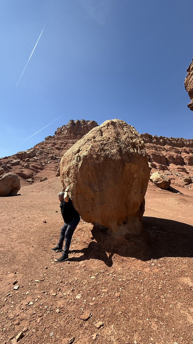 Ralf Dessel tweet media