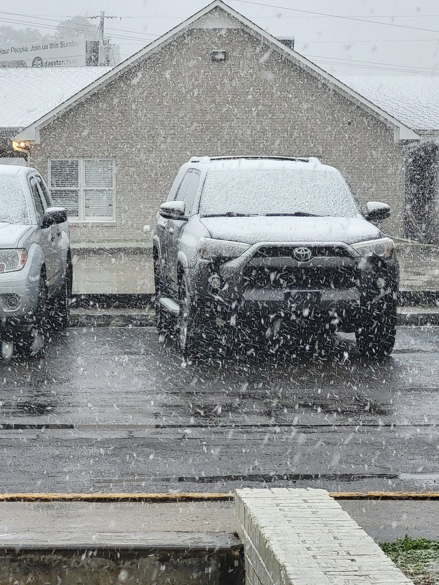 Succulent Valkyrie 🌵 tweet media