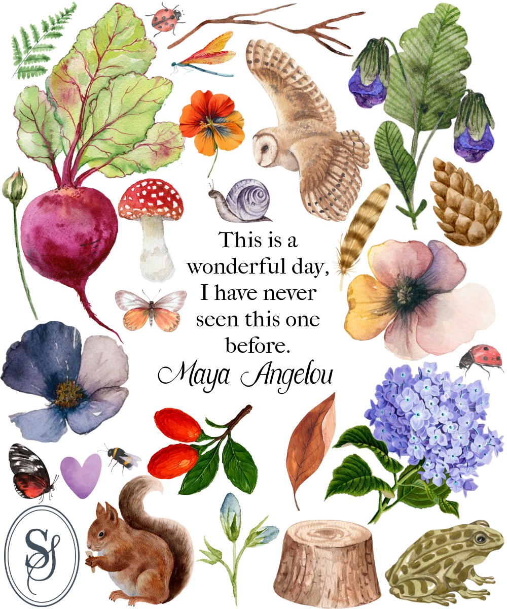 Inspiration & More tweet media