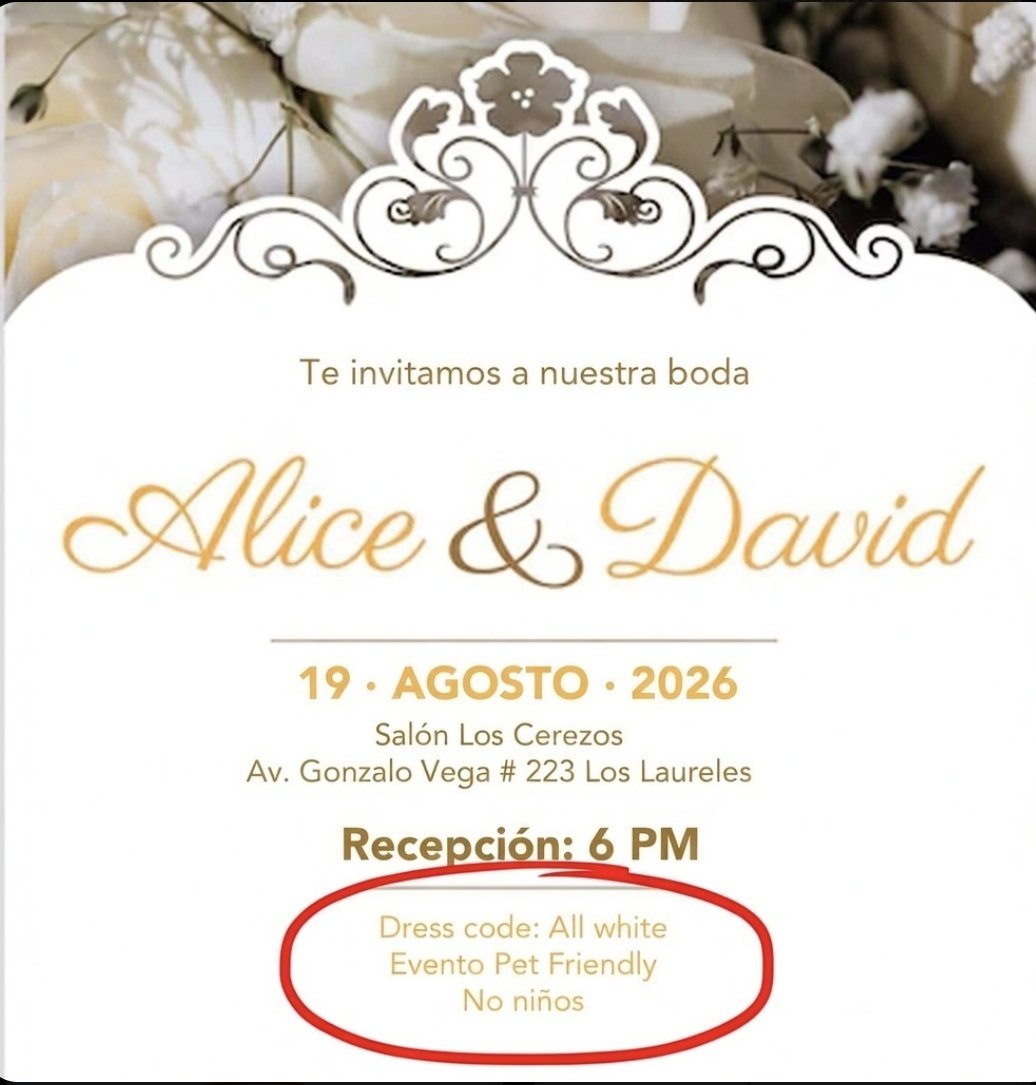 CENTAURO tweet media