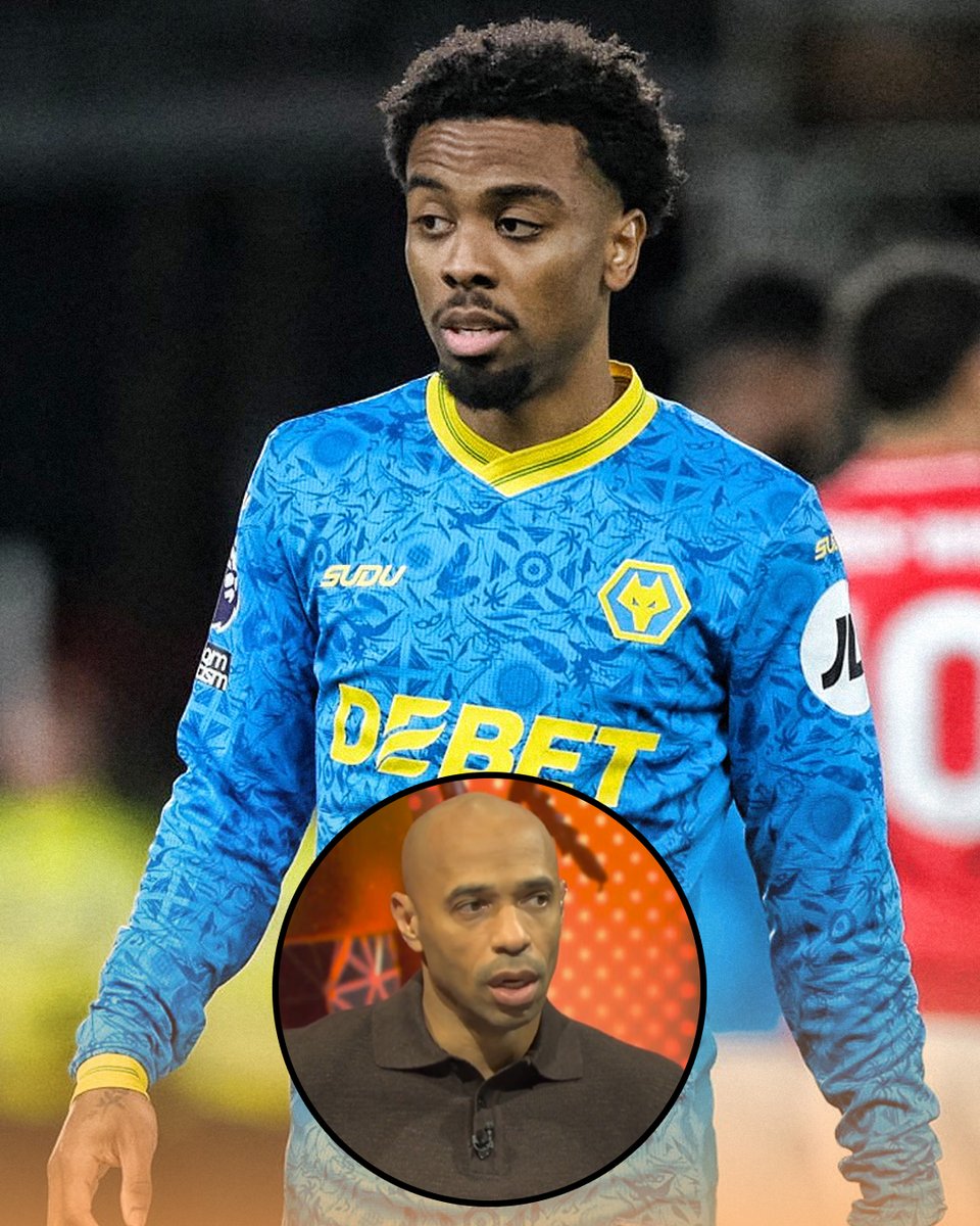 Talking Wolves tweet media