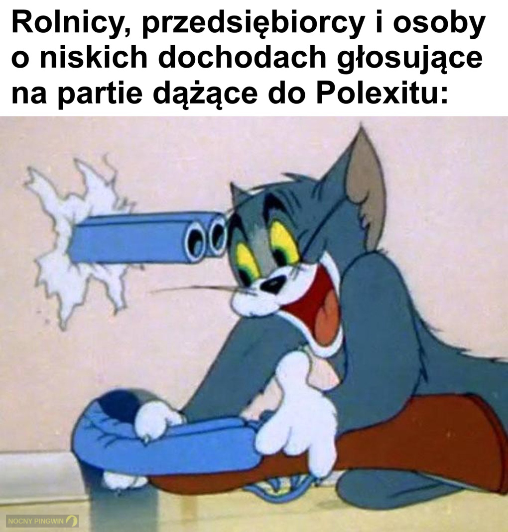 Nocny Pingwin tweet media