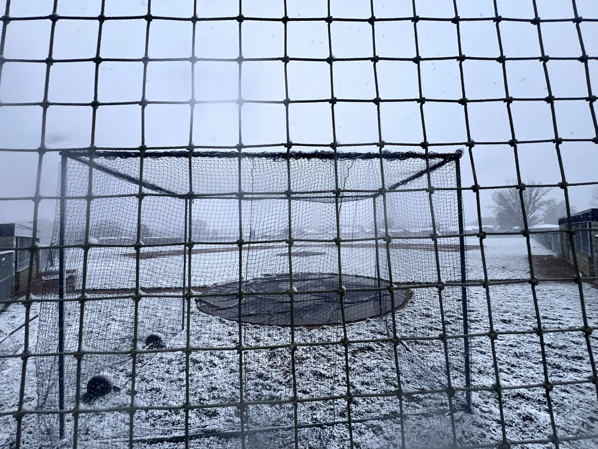 Brandon Doyle tweet media