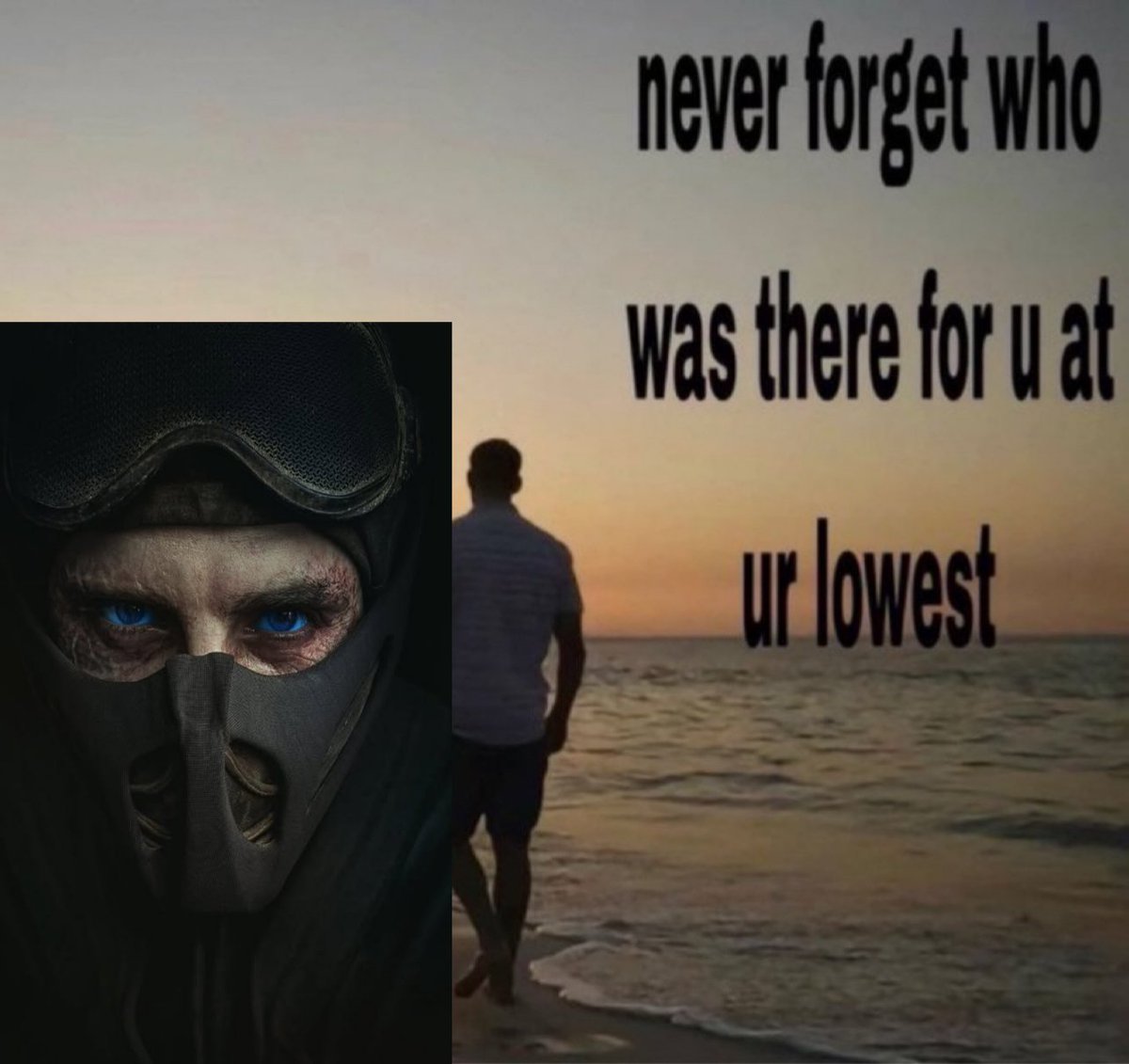 timothée chalamet's impregnator tweet media