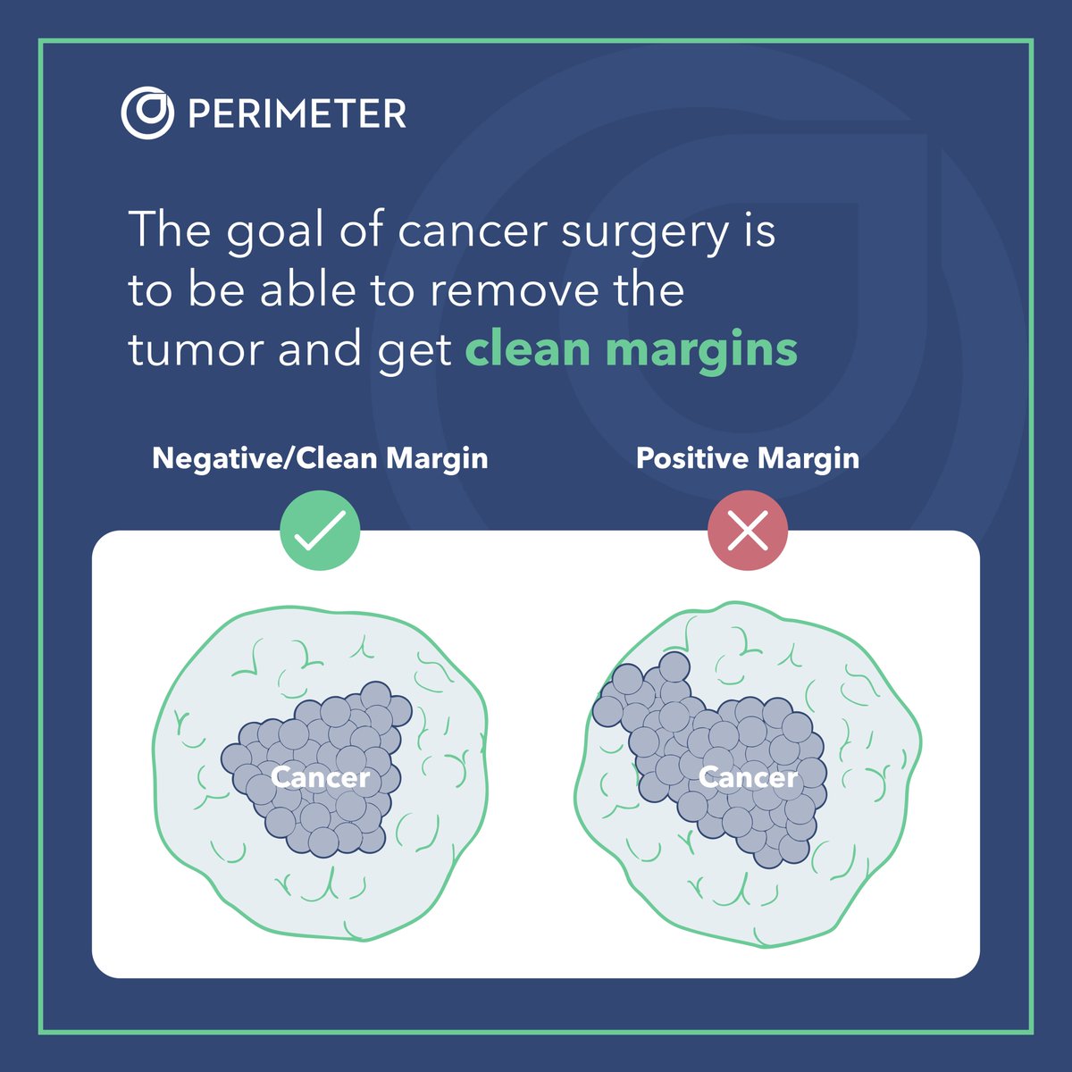 Perimeter Medical Imaging AI tweet media