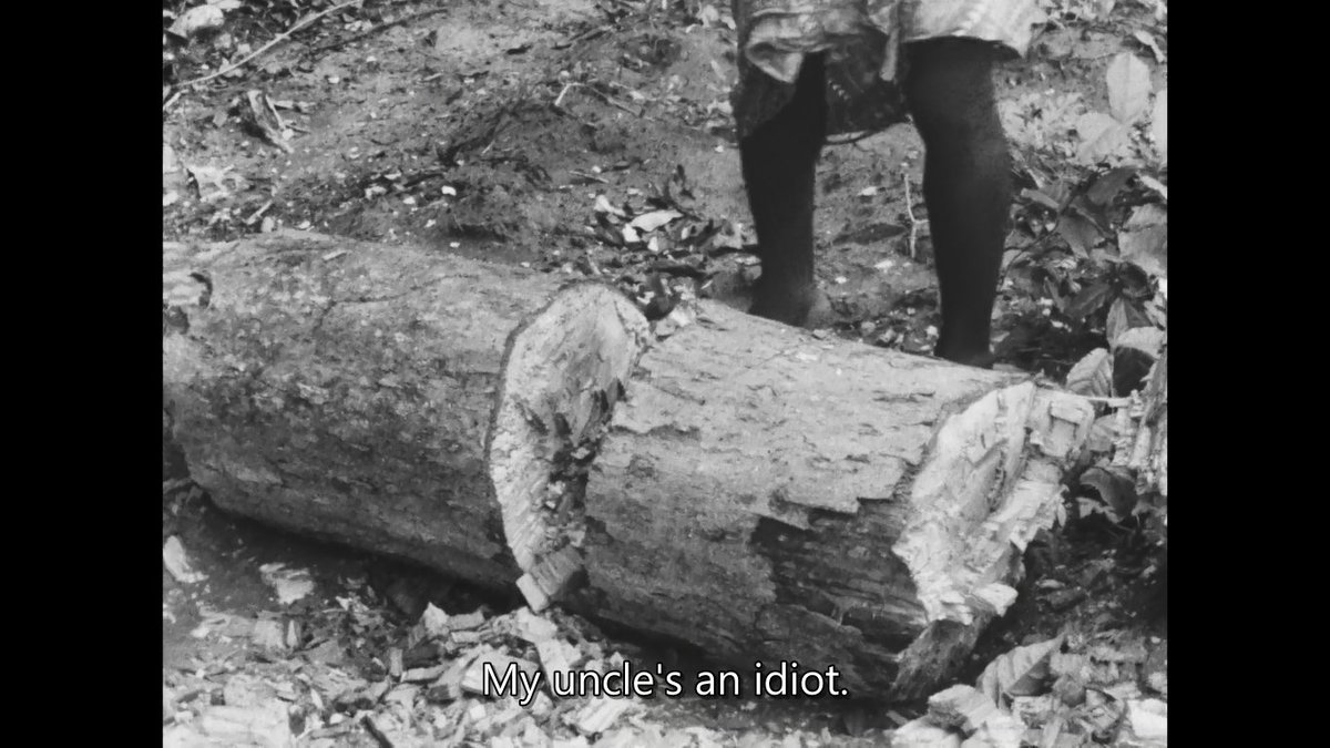 naza 🧸 tweet media