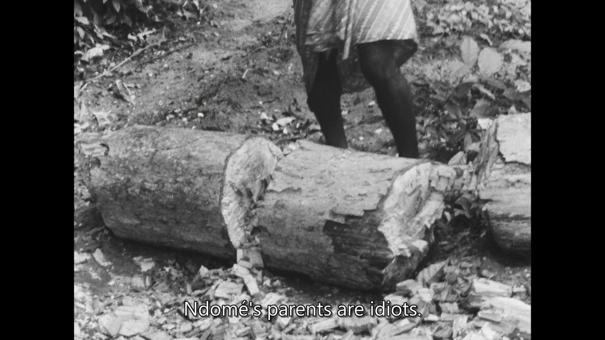 naza 🧸 tweet media