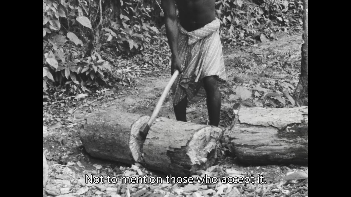 naza 🧸 tweet media