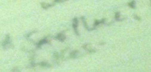 bring_back_the_compass tweet media