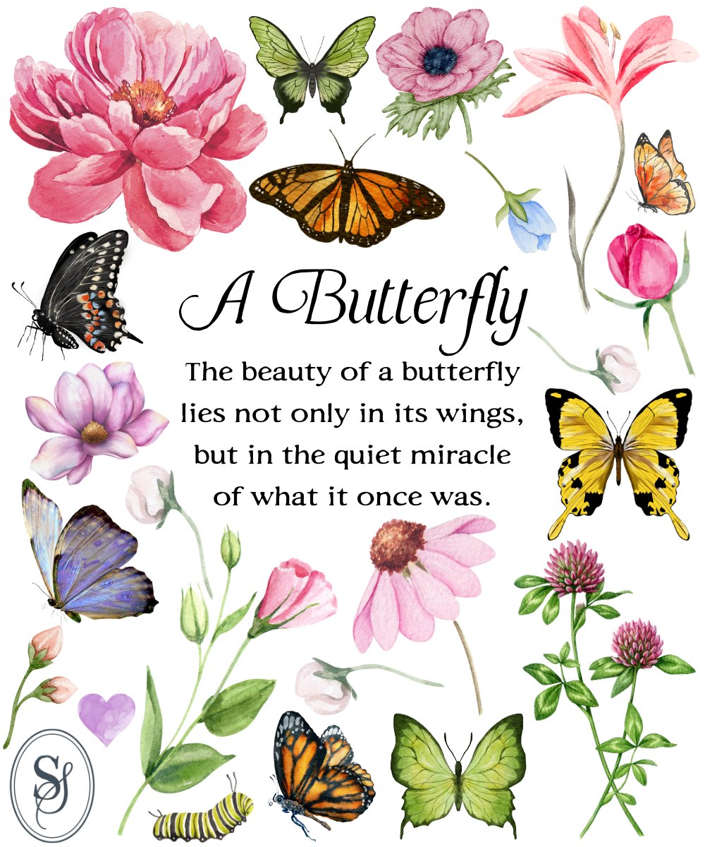 Inspiration & More tweet media