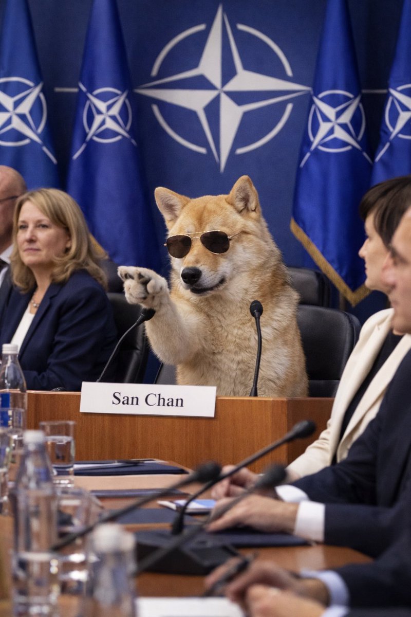 Joelliuzzi tweet media