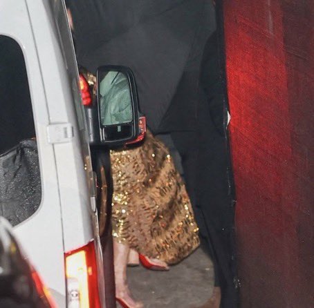 Cat ❤️‍🔥 tweet media