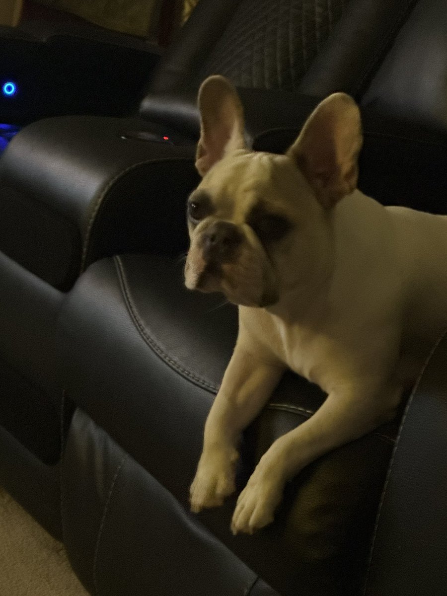 Doug Fergel tweet media