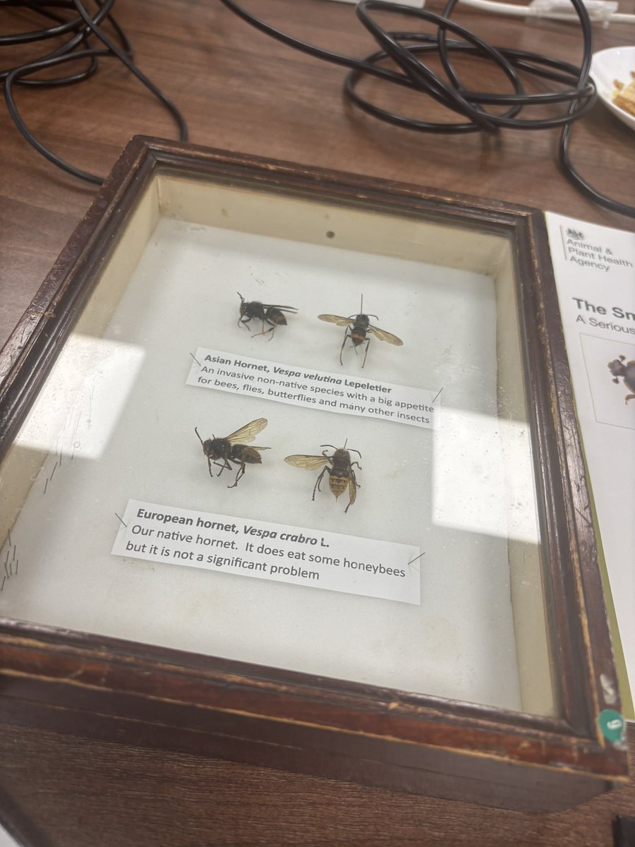 Jonathan Smith tweet media