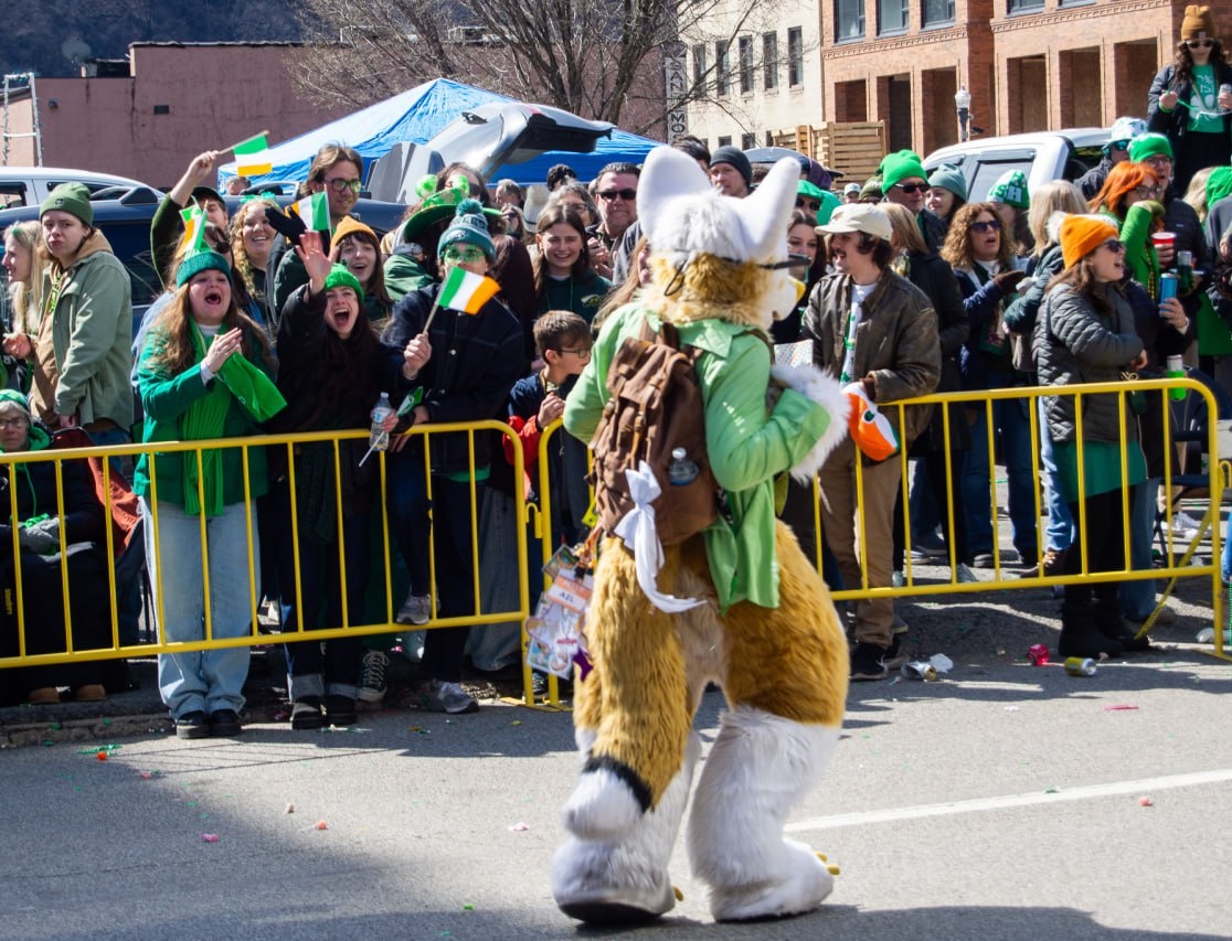 ☔️Little Mia Fox🩵 tweet media