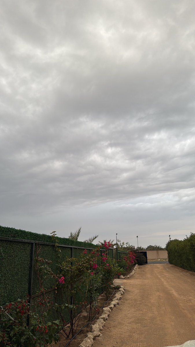 ﮼شطر ⁴⁰⁴ tweet media