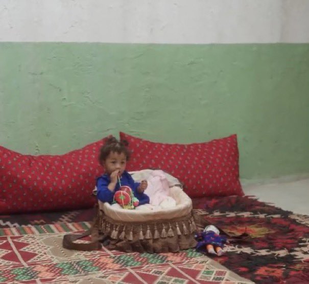 زيتونه tweet media